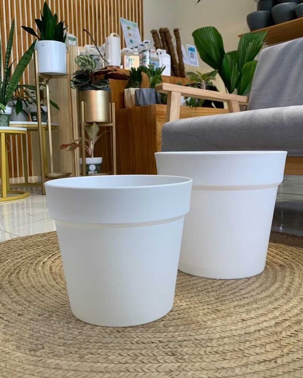 Classic Plastic Pot - Pots For Plants