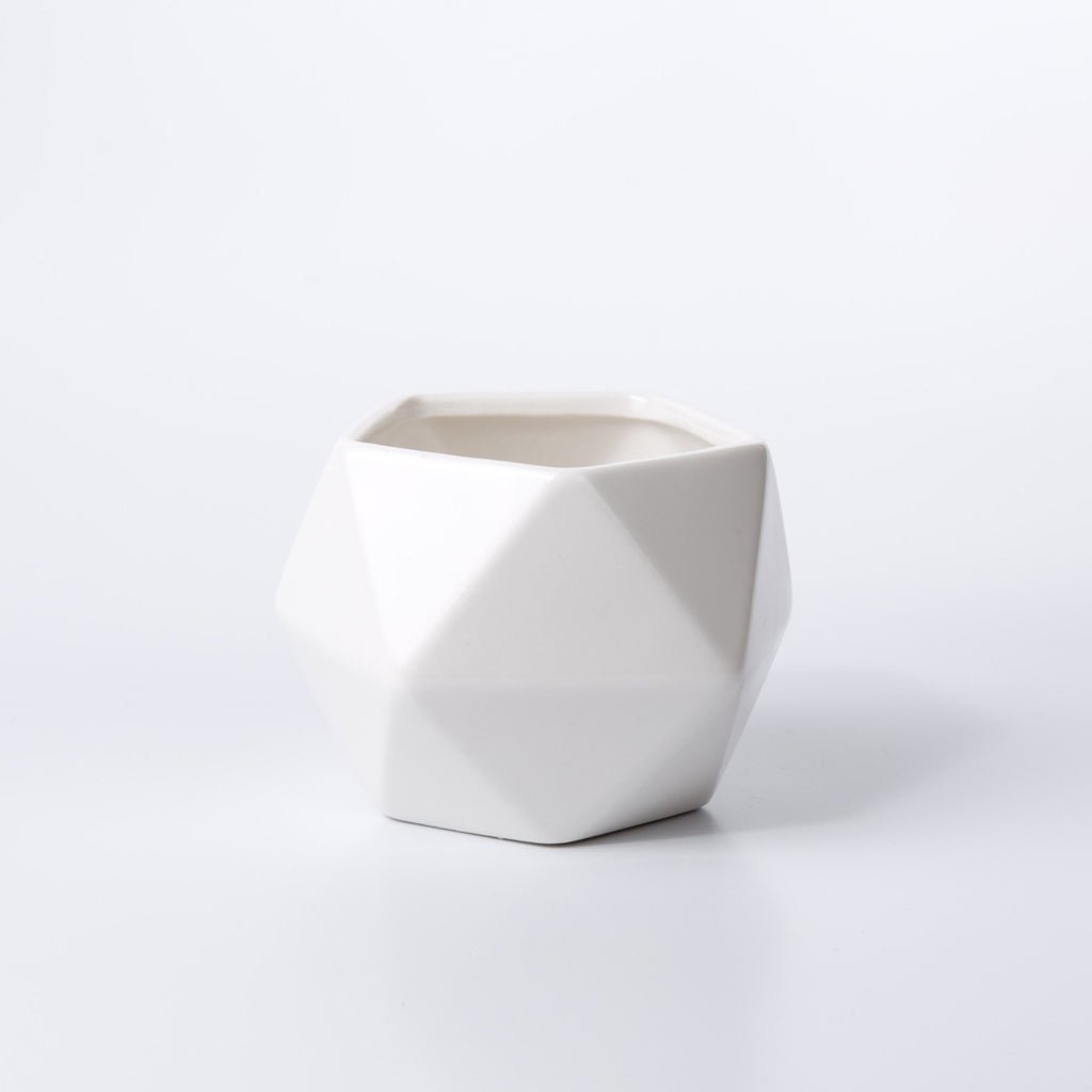 Crystal Shaped White Gloss Finish Porcelain Ceramic Pot - Pots For Plants