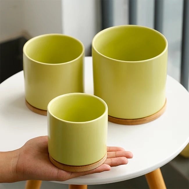 Cylinder Porcelain Ceramic Pots (Set of Three) with Bamboo Catch Plate - Pots For Plants