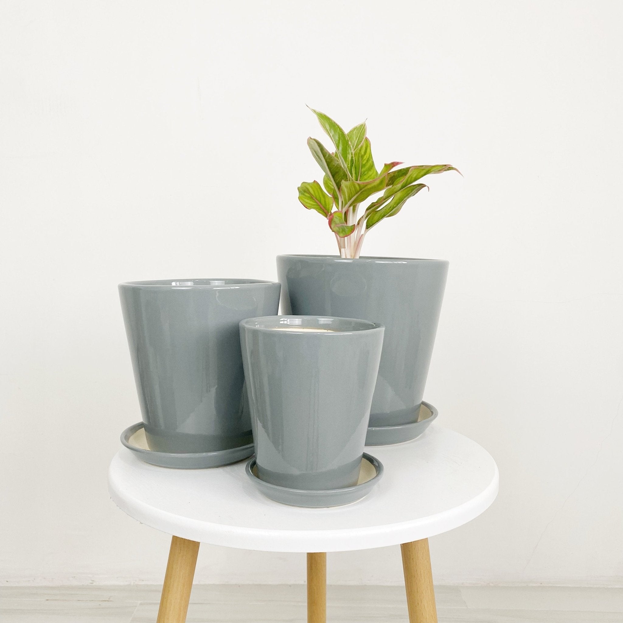 ES1256 Cone Shaped Glazed Clay Earthenware Ceramic Desk Pot - Pots For Plants