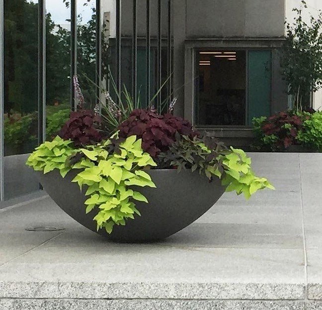 Fiberglass "Kawa" Bowl Planter - Pots For Plants