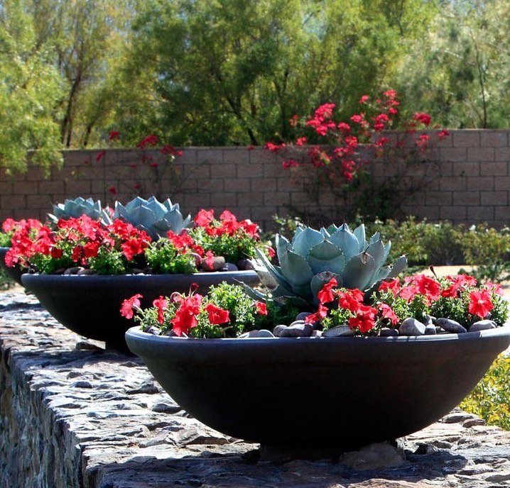 big pots for plants philippines Kawa Bowl Fiberglass Planter – Pots For Plants
