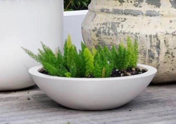 Fiberglass "Kawa" Bowl Planter - Pots For Plants