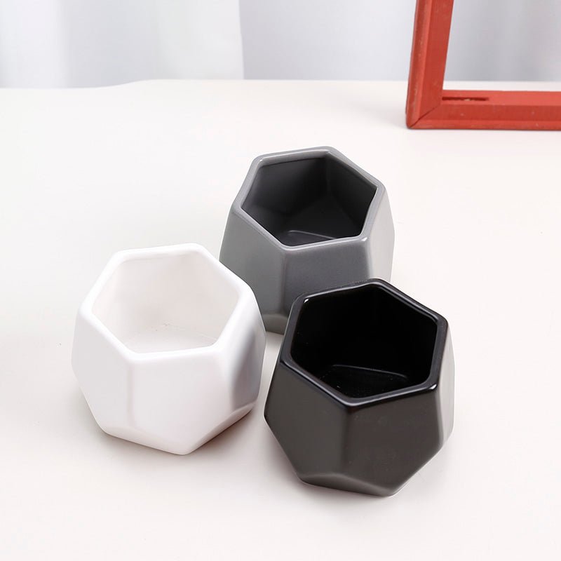 Hexagon Mouth Porcelain Succulent Pot (Set of three) - Pots For Plants