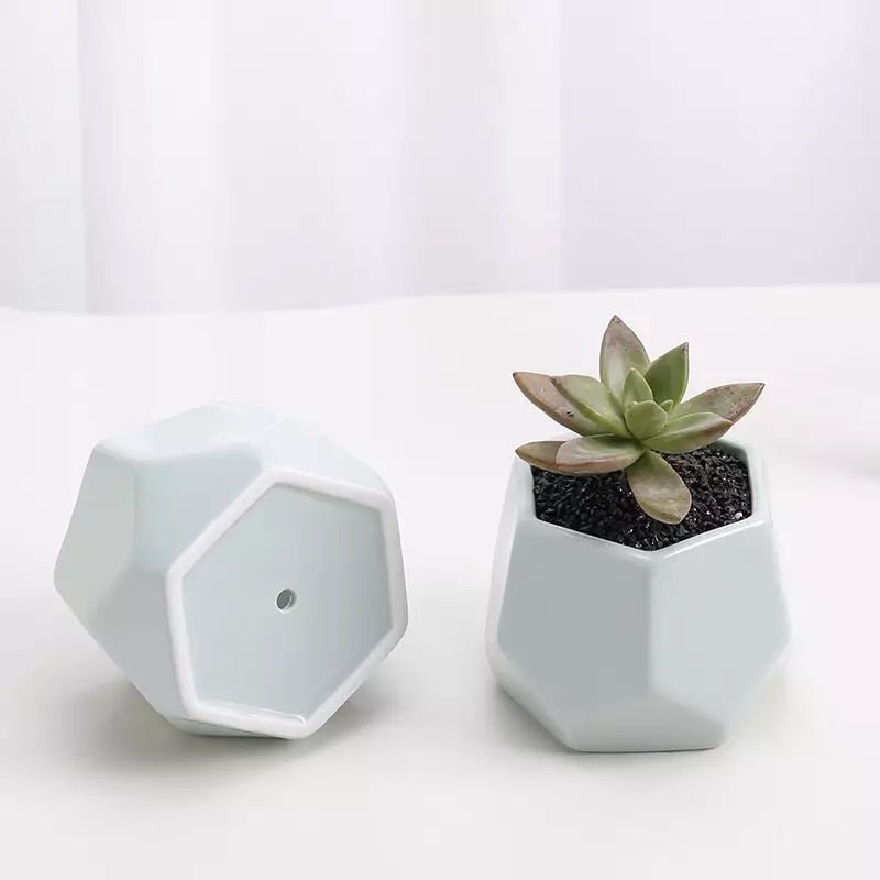 Hexagon Mouth Porcelain Succulent Pot (Set of three) - Pots For Plants