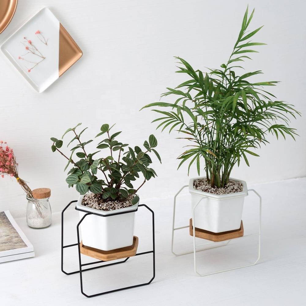Hexagon porcelain desk pot with bamboo catch and Iron stand - Pots For Plants