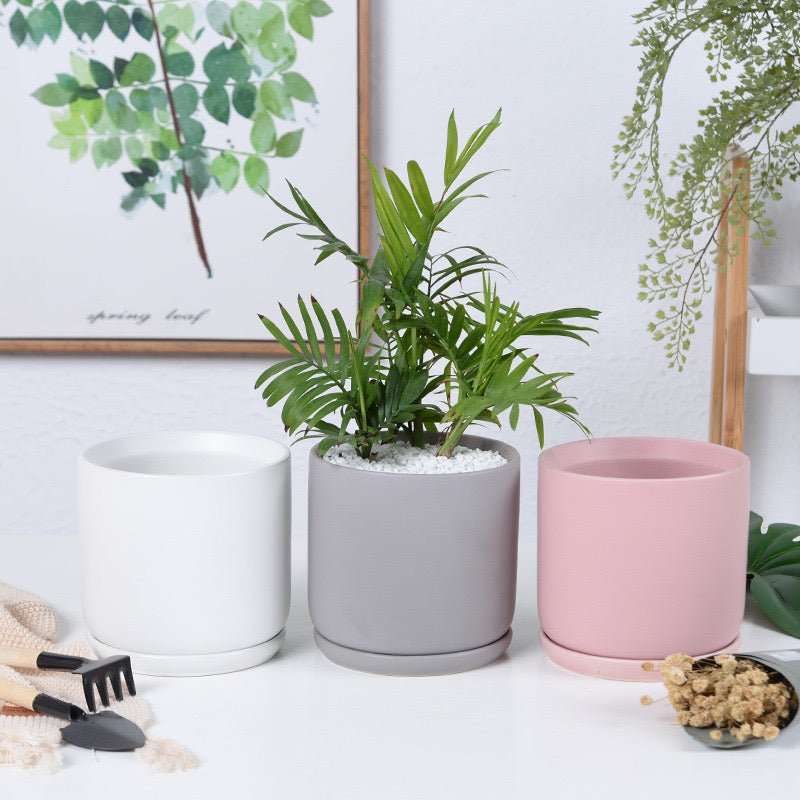 pots for plants ph Matte Finish Porcelain CYLINDER Ceramic Desk Pot with Ceramic Saucer – Pots For Plants