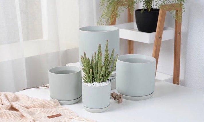Matte Finish Porcelain SQUARE Ceramic Pot with Ceramic Saucer - Pots For Plants