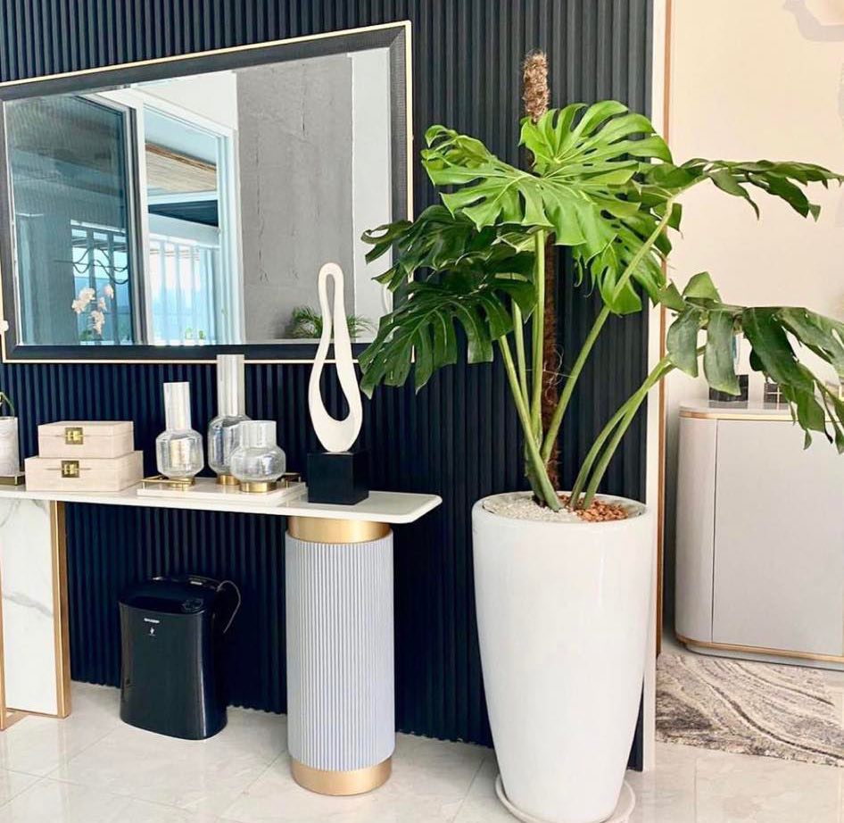 monstera deliciosa for sale philippines Monstera deliciosa (Swiss Cheese Plant) – Pots For Plants