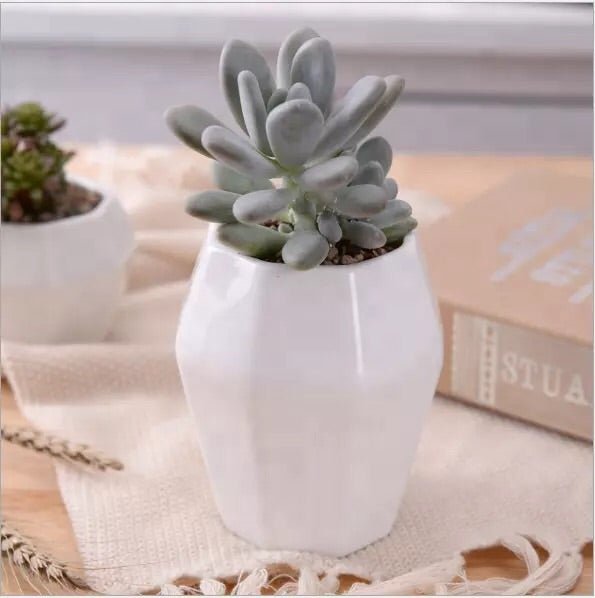 Octagon Porcelain Vase - Pots For Plants