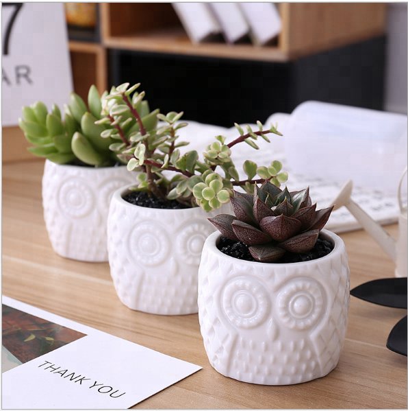 Owl Textured White Porcelain Pot with Bamboo Saucer - Pots For Plants
