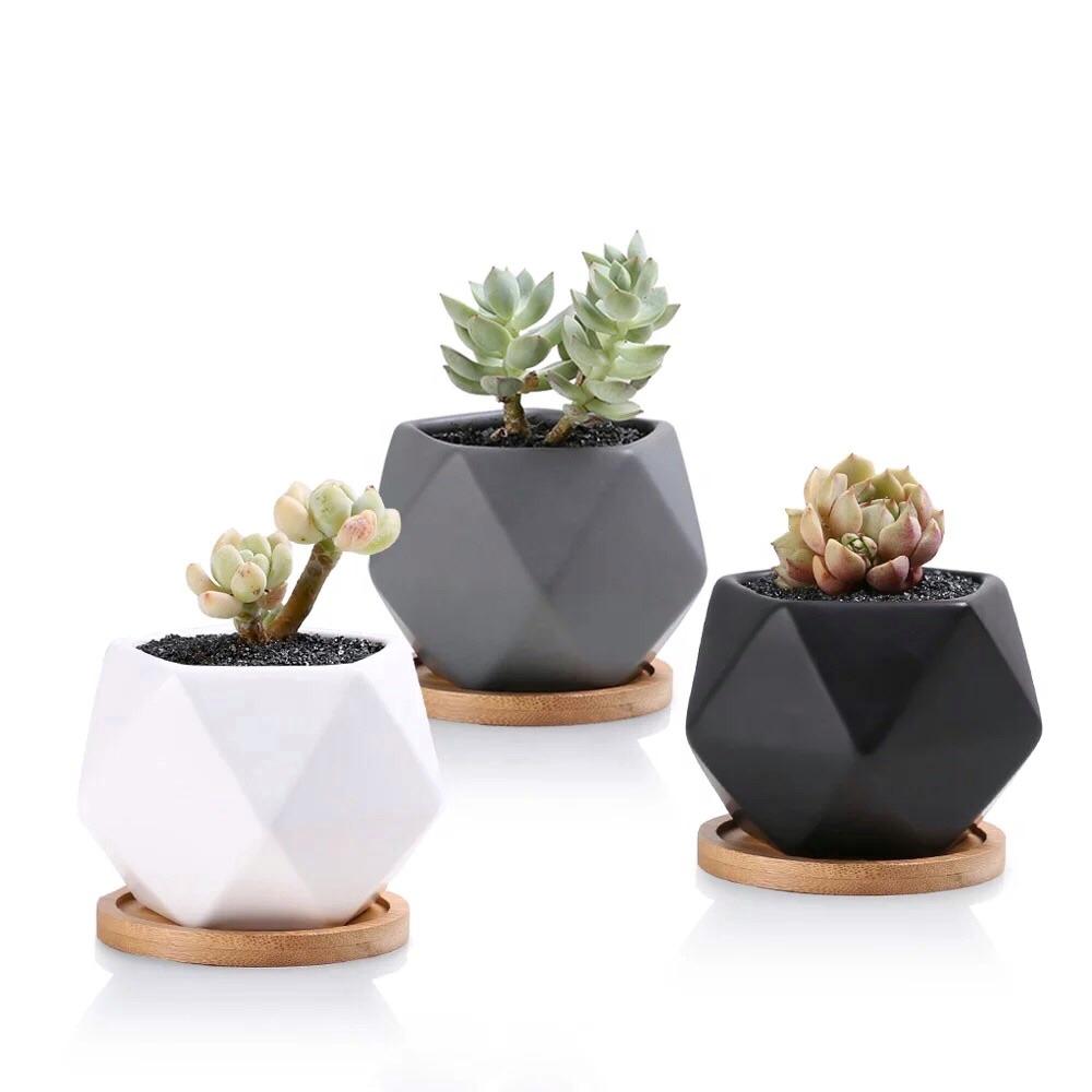 Pentagon Mouth Porcelain Succulent Pot (Set of Three) - Pots For Plants