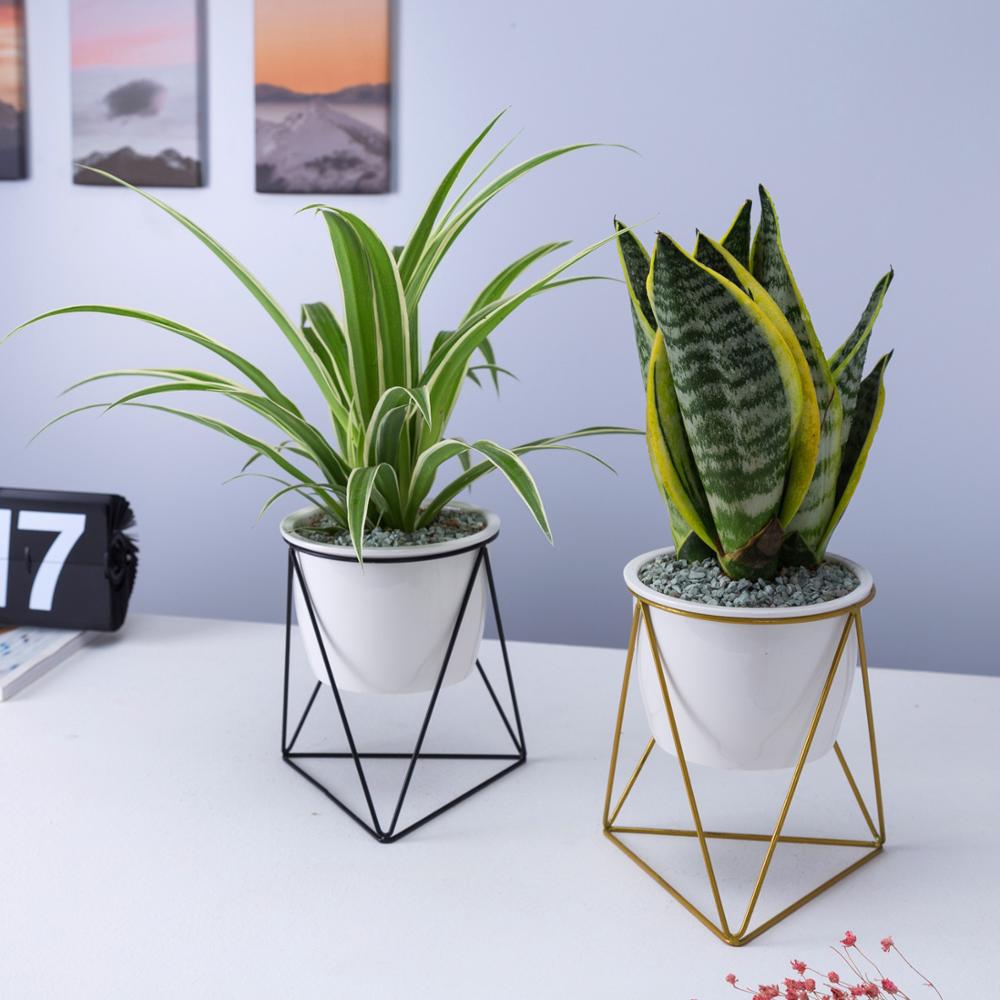 Porcelain Ceramic pot With Triangular Shape Iron Stand – Pots For Plants