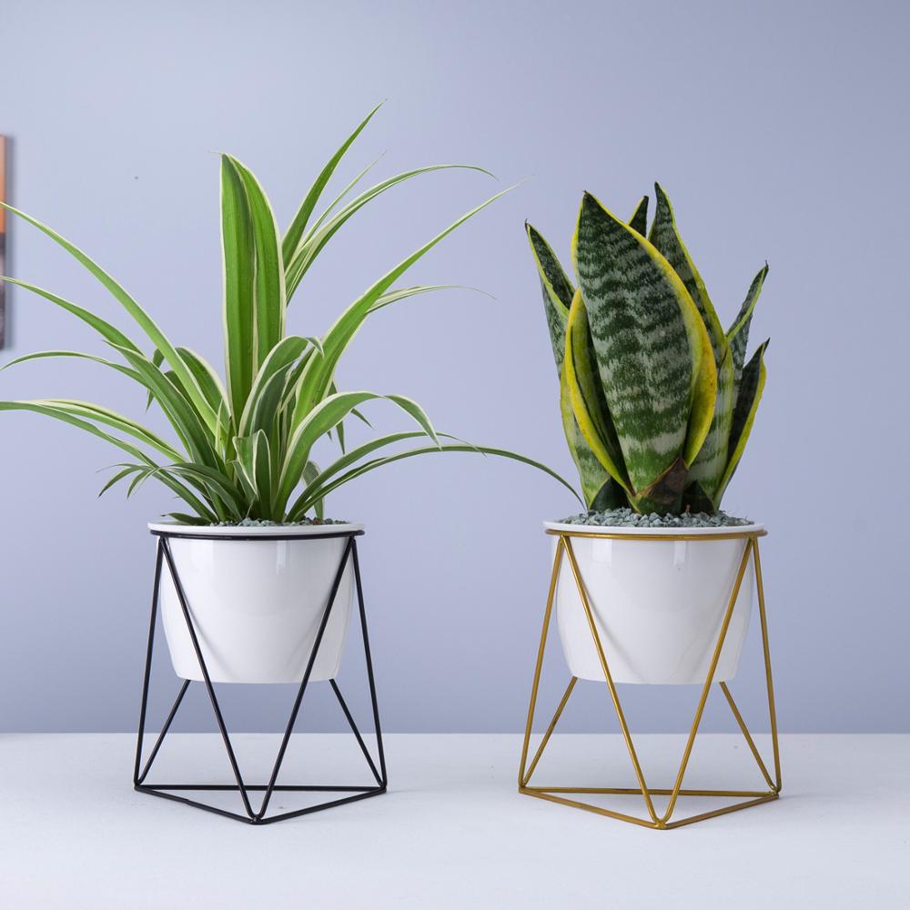 Porcelain Ceramic pot With Triangular Shape Iron Stand – Pots For Plants