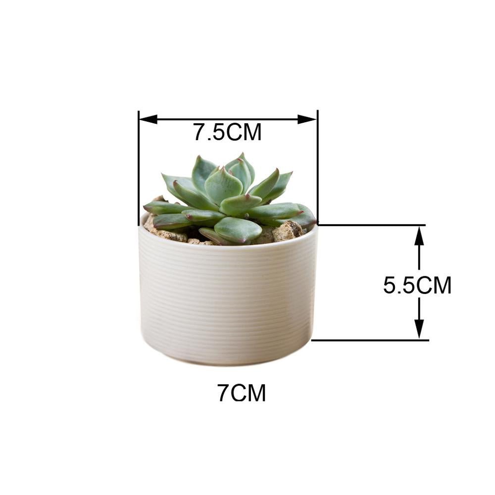 PP44 Textured Lines Cylinder Porcelain Desk Pot - Pots For Plants