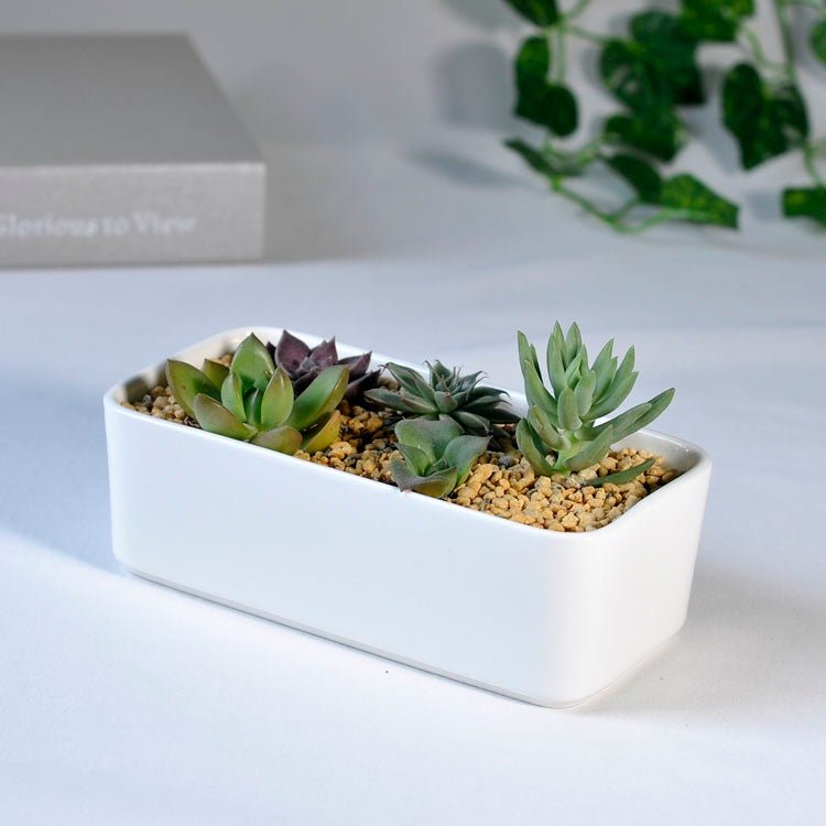 rectangle pots for succulents Rectangle Porcelain Ceramic Succulent Desk Pot – Pots For Plants