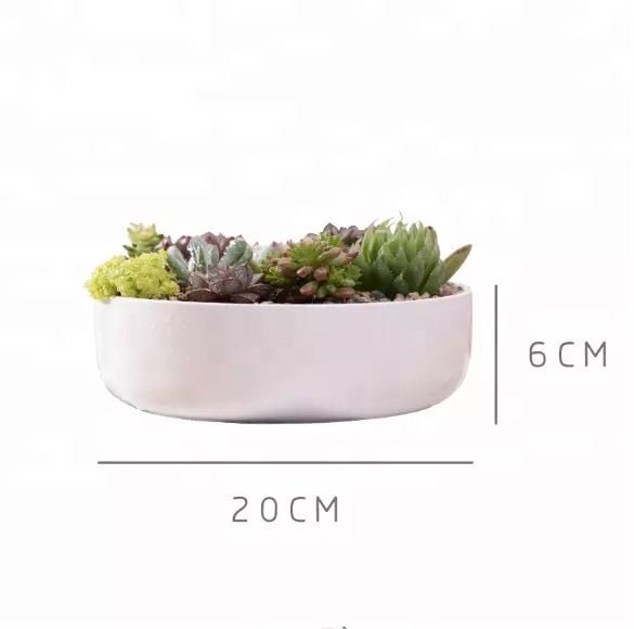 Round Porcelain Succulent Bonsai Dish - Pots For Plants