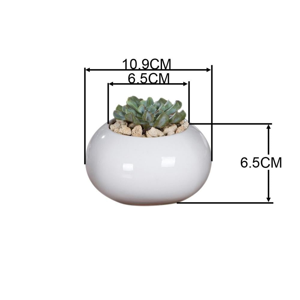 Roundish Square Porcelain Ceramic Succulent Desk Pot - Pots For Plants