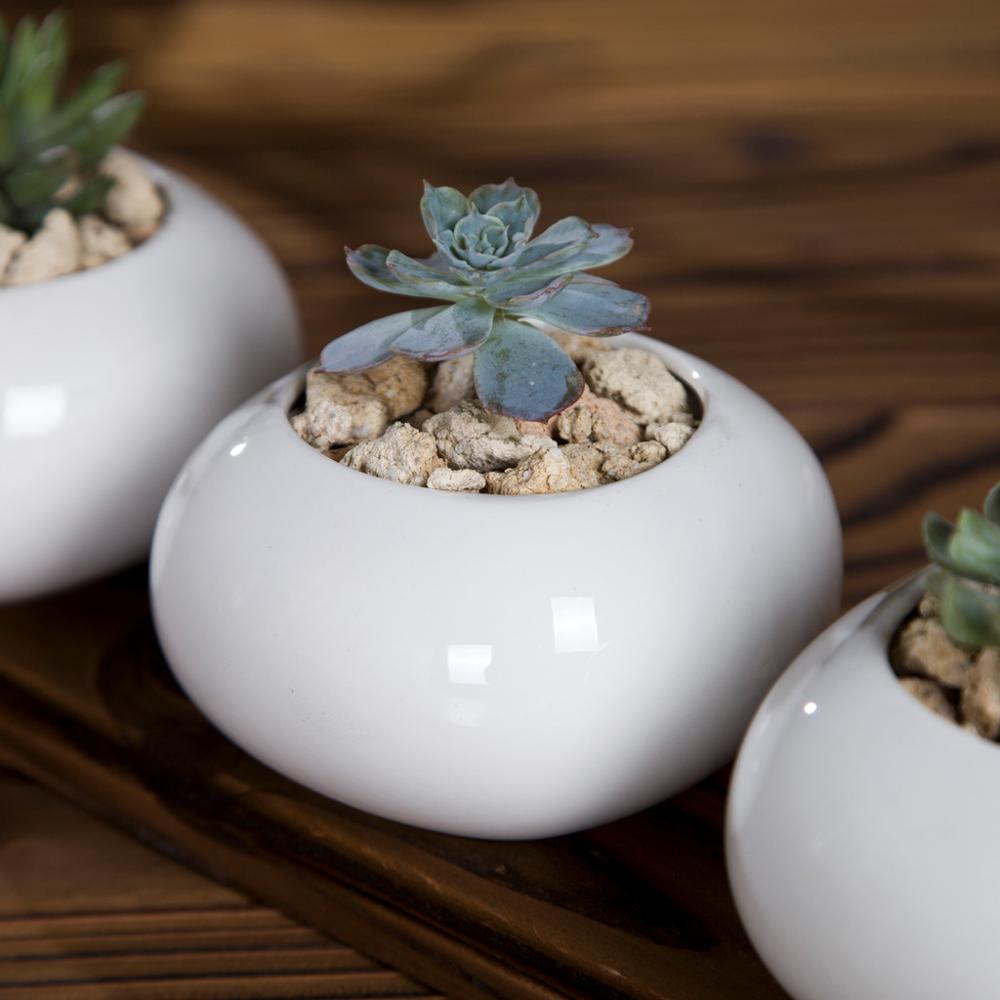 succulent pots for sale philippines Roundish Square Porcelain Ceramic Succulent Desk Pot – Pots For Plants