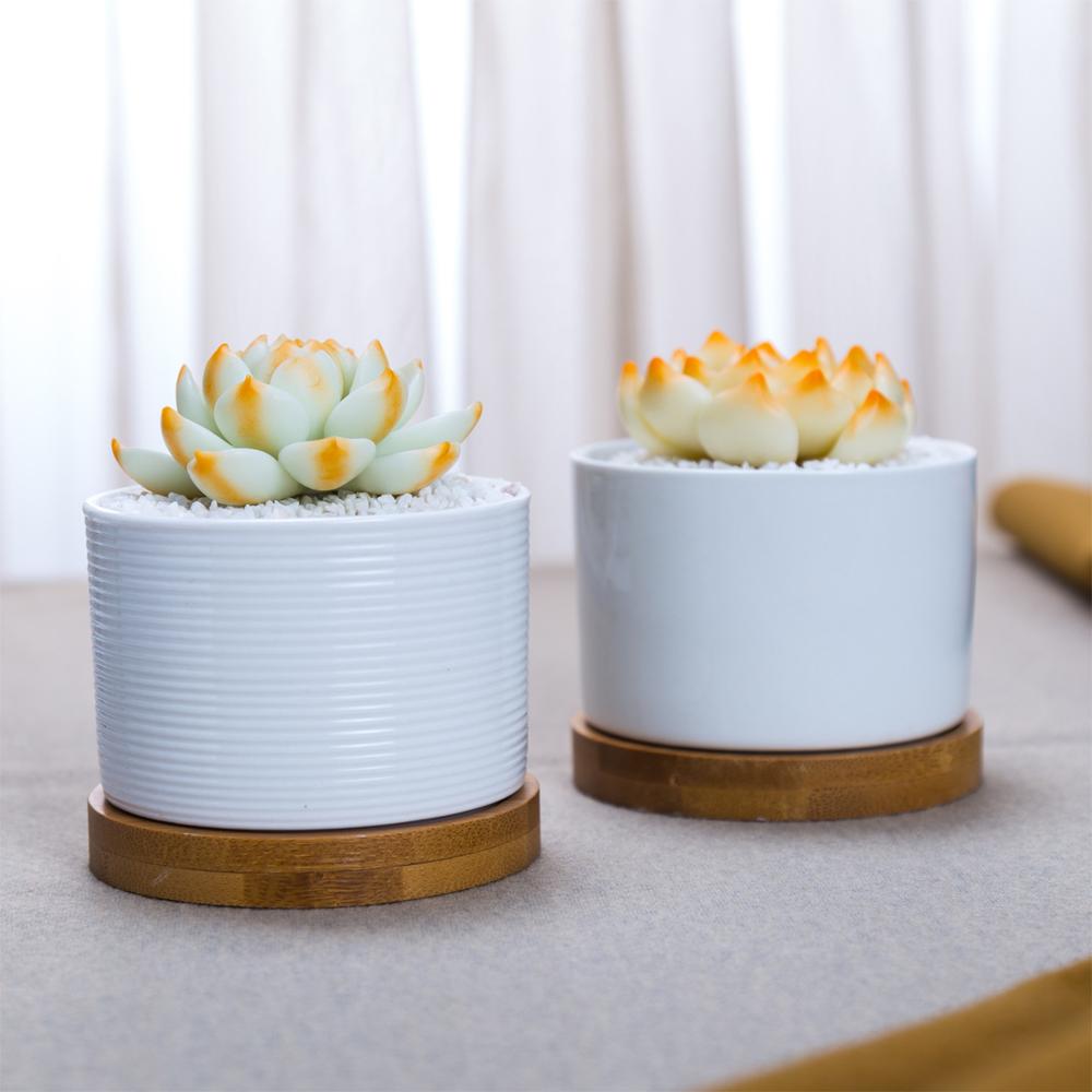 Short Cylinder White Porcelain Pot with Bamboo Saucer - Pots For Plants