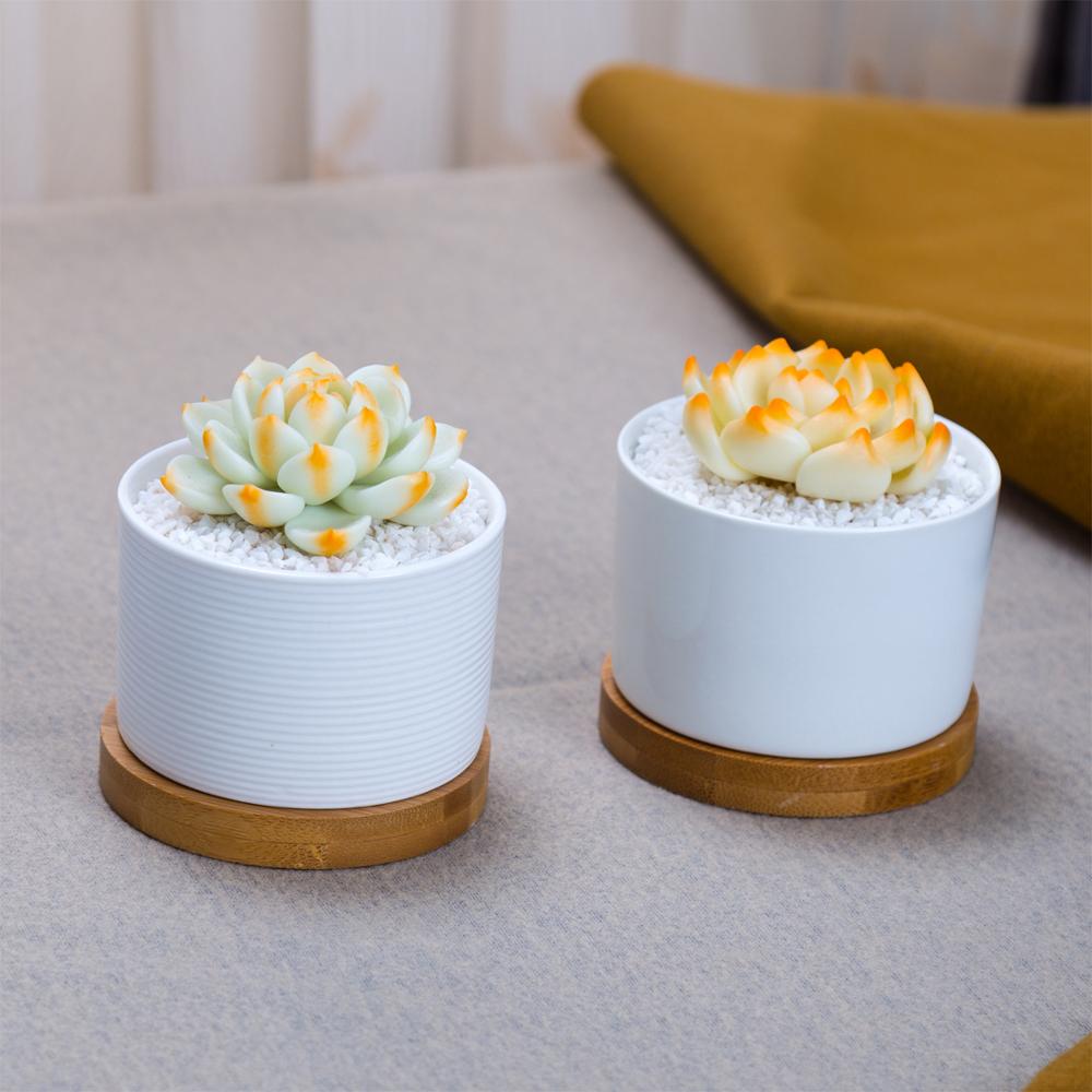 Short Cylinder White Porcelain Pot with Bamboo Saucer - Pots For Plants