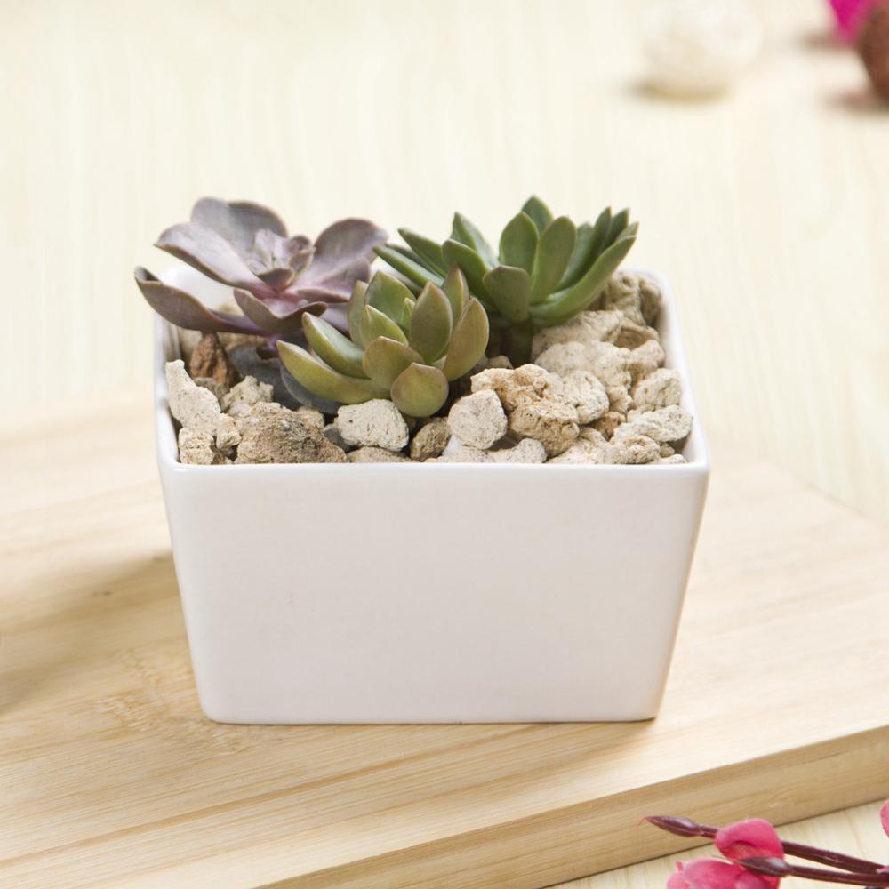 Square Edge Porcelain Ceramic Desk Pot - Pots For Plants