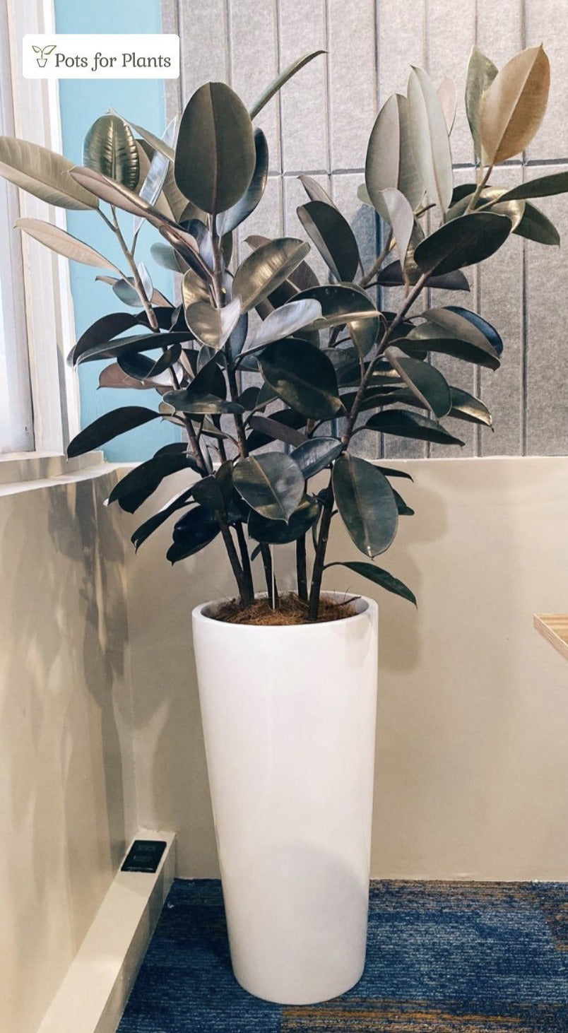 plant pots philippines Stefano Slim and Tall Fiberglass Planter – Pots For Plants