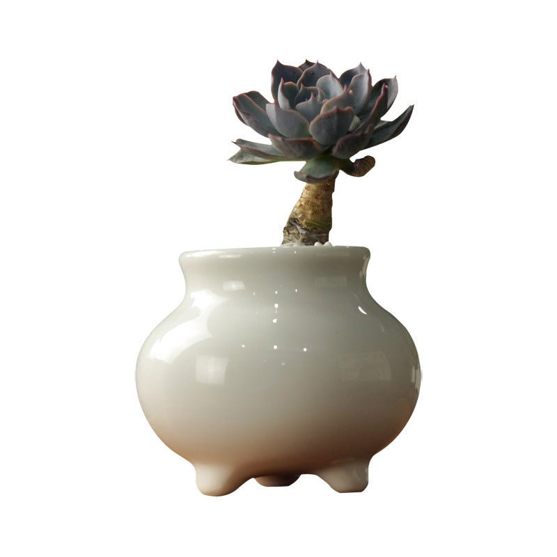 Succulent Zen Porcelain Pot - Pots For Plants