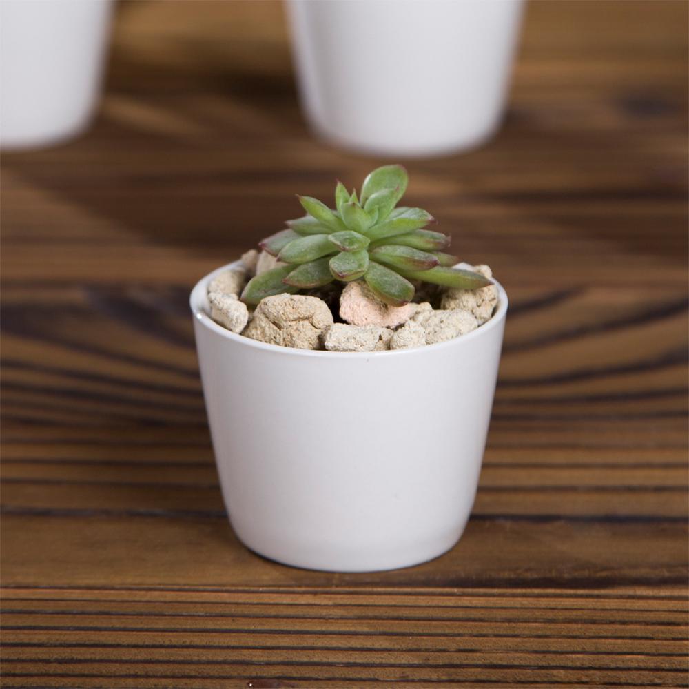 Token Size Cone Shaped Porcelain Ceramic Desk Pot - Pots For Plants