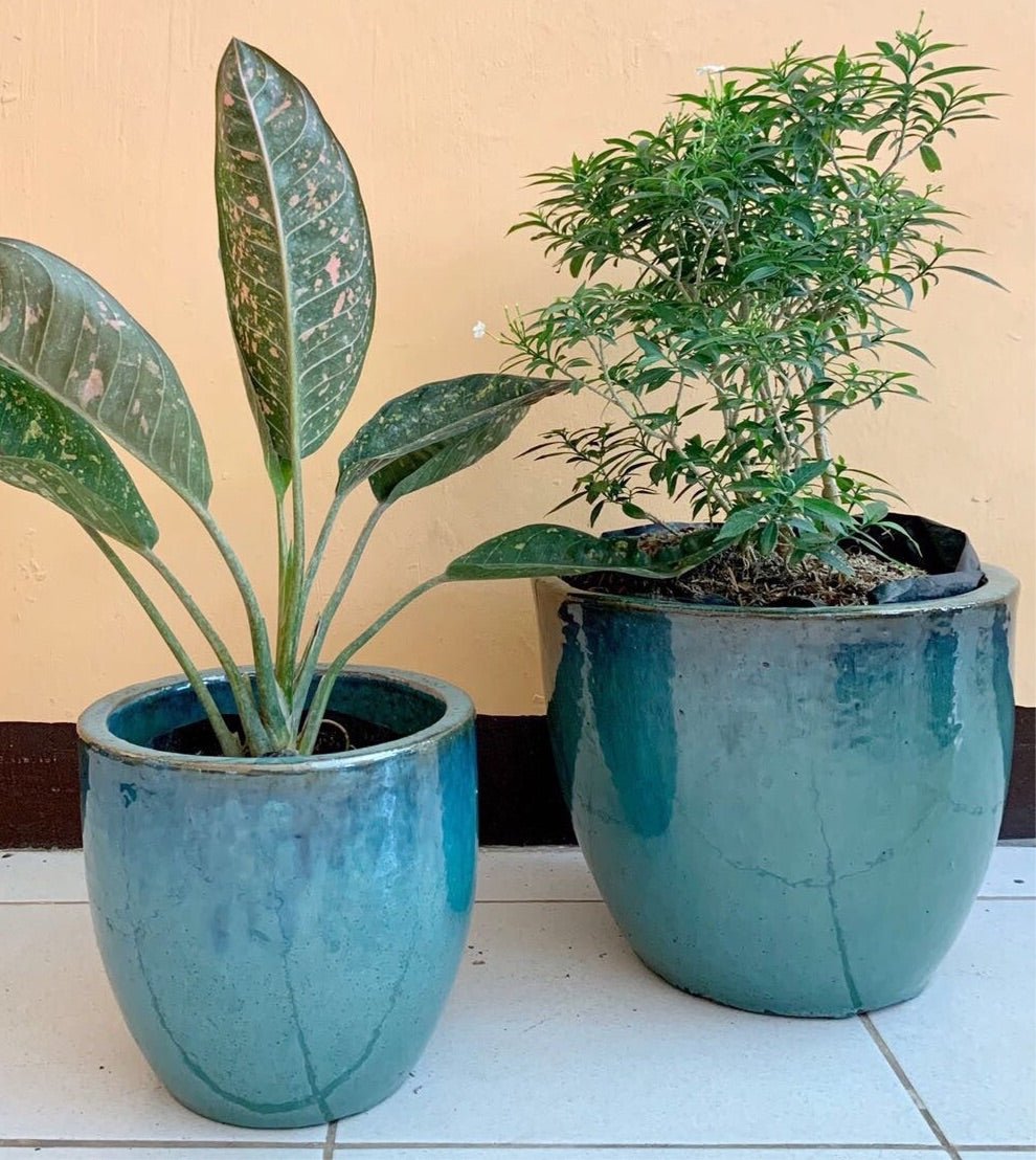 Turquoise Vietnam Glazed Earthenware Ceramic Pot - Pots For Plants