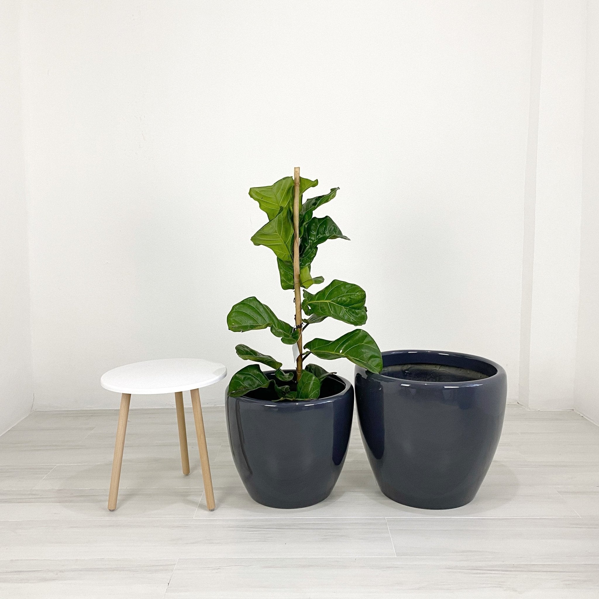 Venetian Round Fiberglass Floor Planters - Pots For Plants