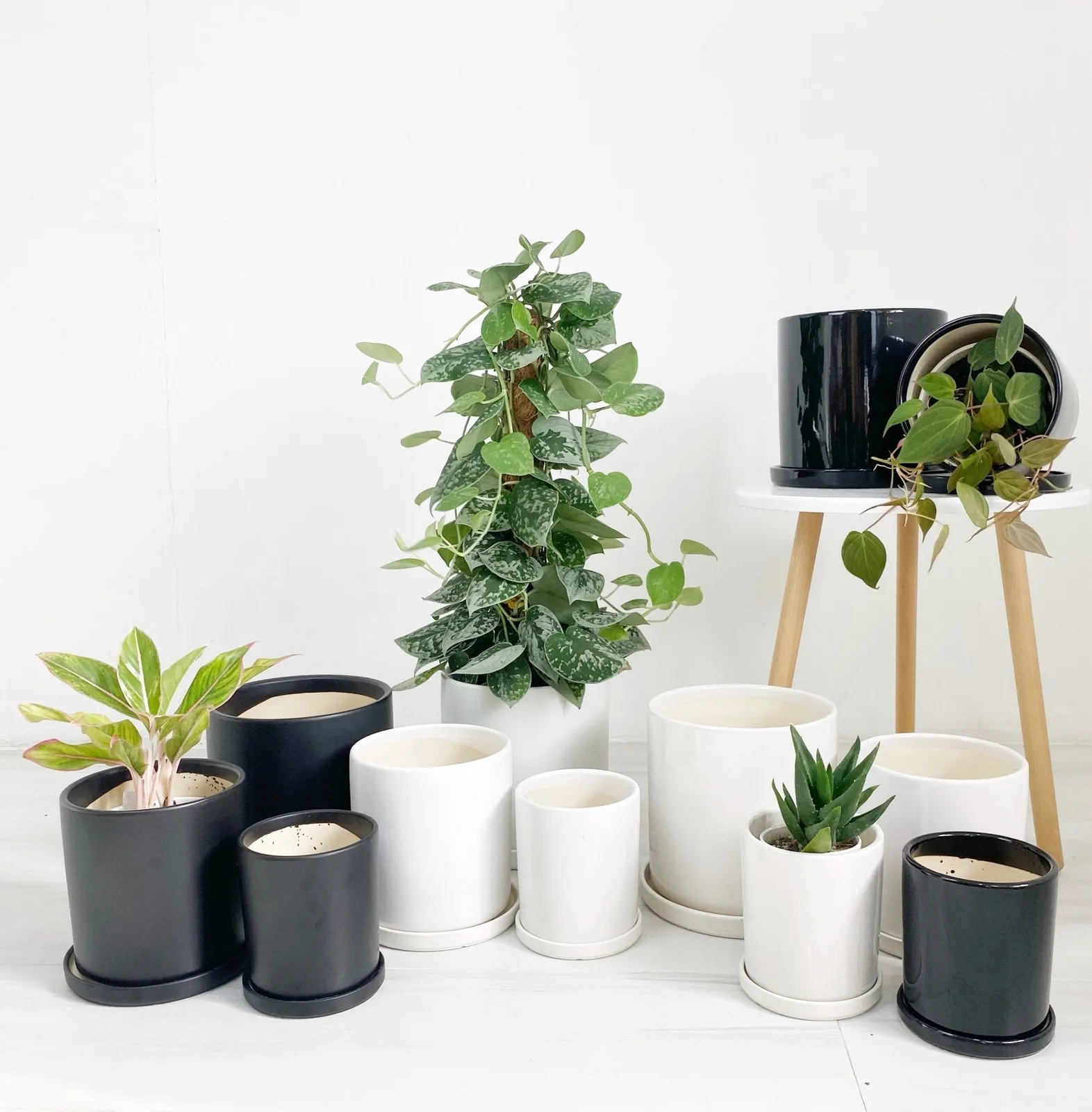 Ceramic Pots