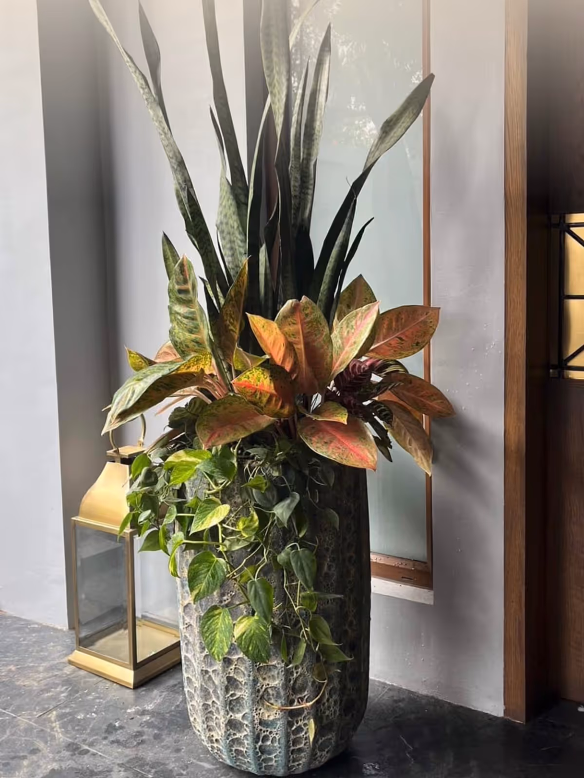Entrance Planters