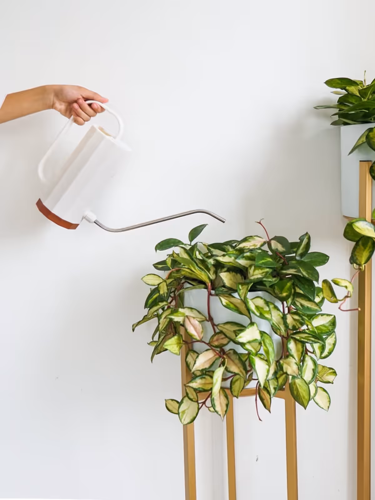 Planting Accessories