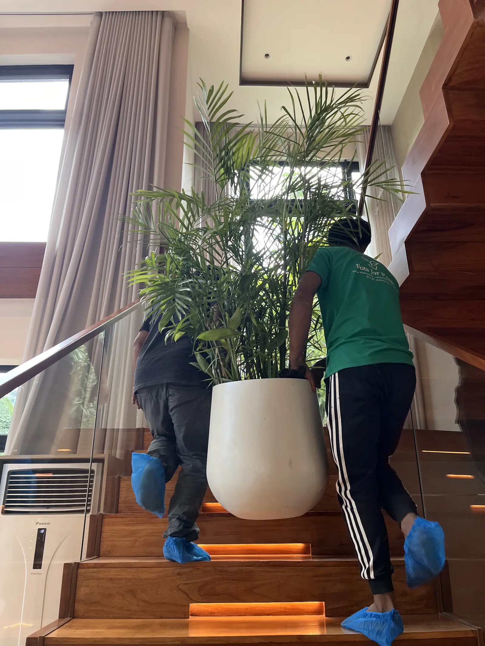 Pots for Plants stylist arranging an indoor plant in a Metro Manila home